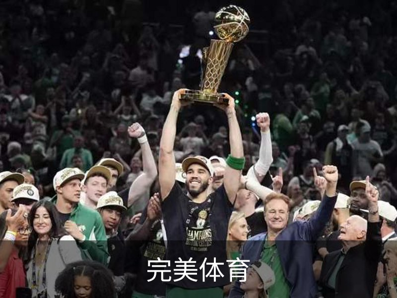 完美体育简介